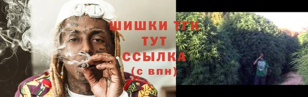 хмурый Губаха