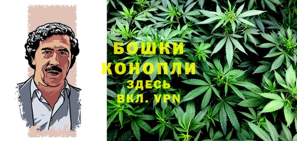 2c-b Козельск