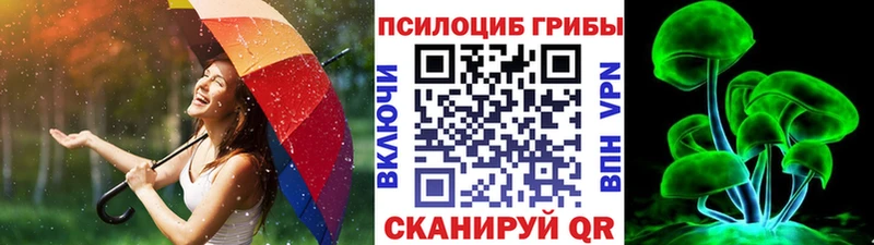 Псилоцибиновые грибы MAGIC MUSHROOMS  Гусь-Хрустальный 