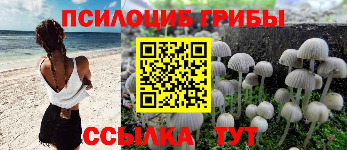 Гусь-Хрустальный  наркошоп  Вход с VPN  Псилоцибиновые грибы мухоморы  Галлюциногенные грибы Cubensis 