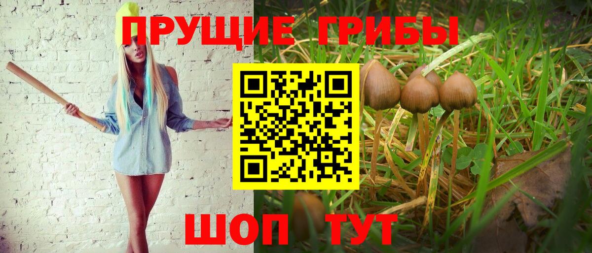 Псилоцибиновые грибы мухоморы Гусь-Хрустальный