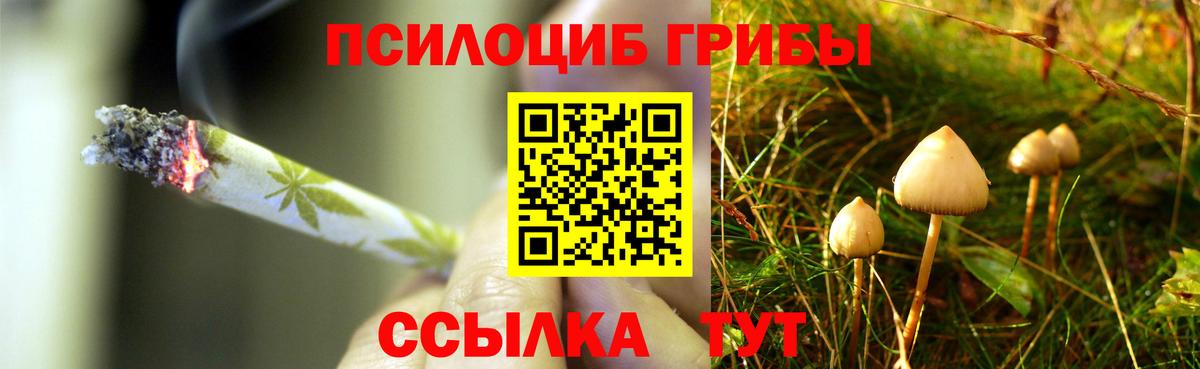 Галлюциногенные грибы ЛСД Гусь-Хрустальный